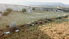 Turkey-Cappadocia-The Cappadocia Endurance Race